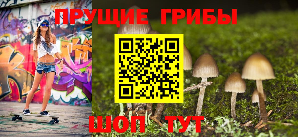 Псилоцибиновые грибы Psilocybine cubensis  Вход с VPN  Кыштым  Галлюциногенные грибы Psilocybe 